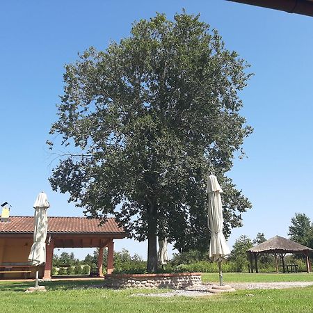 Corte All'Olmo Βερόνα Εξωτερικό φωτογραφία