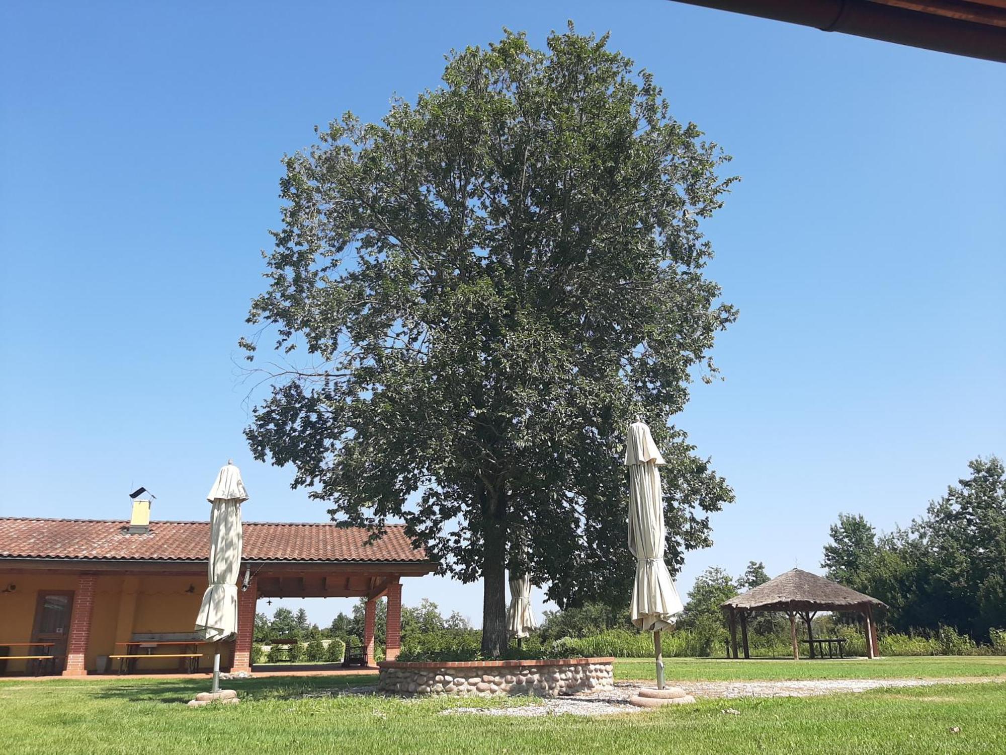 Corte All'Olmo Βερόνα Εξωτερικό φωτογραφία